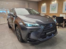 2025 Lexus NX350H Luxury AWD