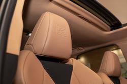 2025 Lexus NX350H AWD Sports Luxury