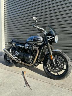 2019 Triumph  Speed Twin