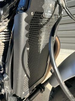 2019 Triumph  Speed Twin