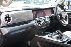 2025 GWM GWM TANK 300