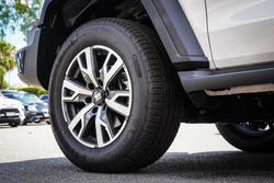 2025 GWM GWM TANK 300