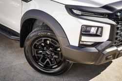 2026 JAC JAC T9