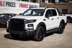 2026 JAC JAC T9