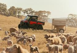 2026 CFMOTO U10 Highland Pro