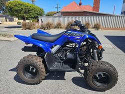 Yamaha YFM90R