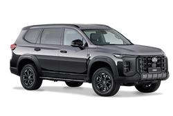 2025 Ldv D90