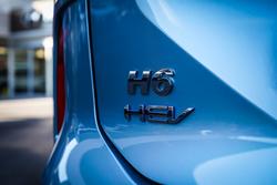 2025 GWM
                H6 