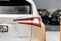 2020 Lexus NX300 Luxury 2.0L Turbo Automatic Wagon