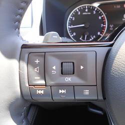 2025 NISSAN X-TRAIL ST-L