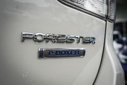 2025 Subaru
FORESTER
