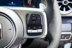 2025 GWM GWM TANK 300