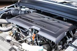 2025 GWM GWM TANK 300