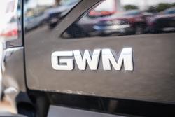 2022 GWM CANNON