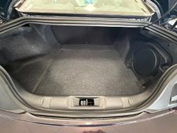 2024 Ford
                Mustang Dark Horse