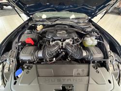 2024 Ford
                Mustang Dark Horse