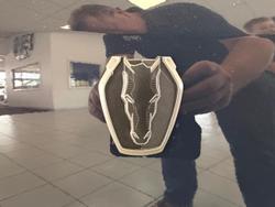 2024 Ford
                Mustang Dark Horse