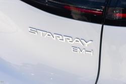 2025 Geely Starray Em-i