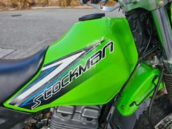 2021 Kawasaki KL250 Stockman Green