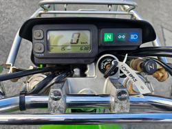 2021 Kawasaki KL250 Stockman Green