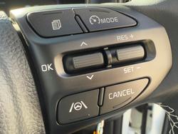 2025 Kia
                Picanto Sport