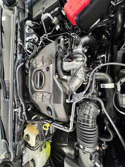2025 Ford
Everest Platinum
