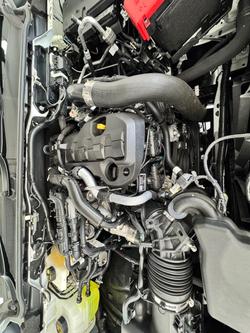 2025 Ford Everest Trend