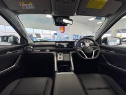 2025 LDV
T60 MAX PLUS