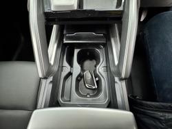 2025 LDV
T60 MAX PLUS