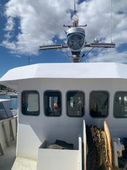 2001 Shark Boat Steel