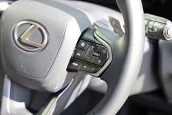 2025 Lexus NX250 NX250 Base 2.5L Petrol Automatic Wagon 2M00110 001