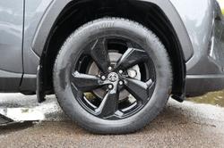 2020 Toyota RAV4 Cruiser
