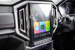 2024 JAC JAC T9