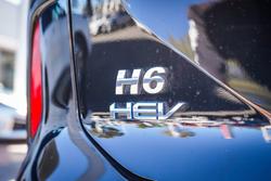 2023 GWM
H6
