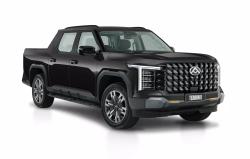 LDV Terron 9