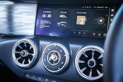 2025 GWM GWM TANK 300