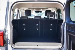 2025 GWM GWM TANK 300