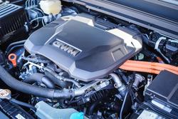 2025 GWM GWM TANK 300