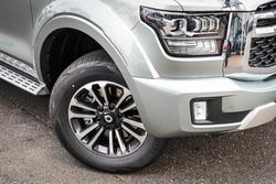 2025 GWM
CANNON UTE