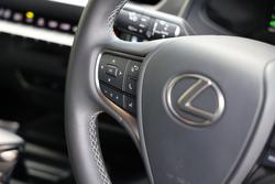 2022 Lexus
                UX250h UX250h Luxury 2.0L Hybrid Auto E-CVT SUV 4146590 003