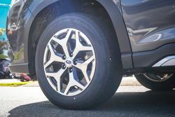 2023 Subaru
FORESTER