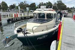 2005 Multiple use alloy Alloy