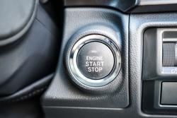 2025 Subaru
                WRX 