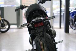 2025 YAMAHA XSR900 YAMAHA ROAD White