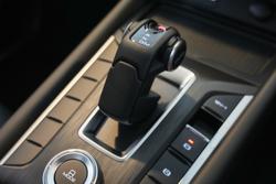 2025 GWM Cannon Premium