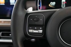 2025 GWM Cannon Premium