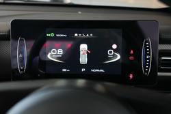 2025 GWM Cannon Premium