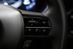 2025 Alfa Romeo Junior Ibrida