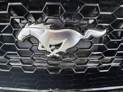 2025 Ford
Mustang GT
