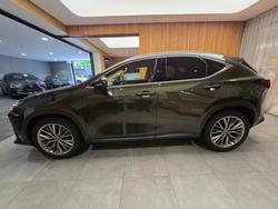 2024 Lexus NX350H Sports Luxury AWD
